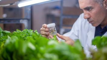 Explosión de enfermedades neurodegenerativas: "El hexano debe eliminarse de la industria alimentaria"