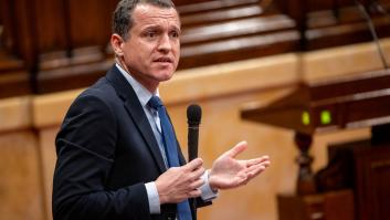 La peste porcina africana incide en Cataluña: detectados cuatro nuevos casos en jabalís muertos en Collserola