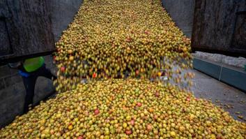 Un hombre ayuda a los animales de una finca quemada en Cáceres con un rico regalo de miles de kilos