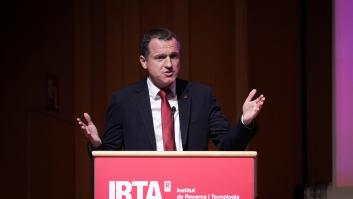 La Generalitat de Cataluña pide ayuda a la UME para frenar el brote de peste porcina