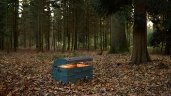 Un joven pasea por el bosque y vuelve a casa con cinco tesoros dorados de 3.300 años de antigüedad: "Esperando evaluación"