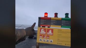 Un español viaja a una de las playas más peligrosas del mundo, en Islandia, y alucina por cómo la llaman los islandeses