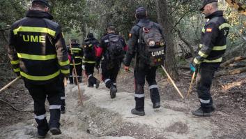 Cataluña afirma que la mayoría de jabalíes muertos en Collserola han dado negativo en peste porcina africana