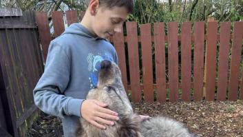 Myles Murray, joven que donó todo el dinero de su cumpleaños al refugio de animales: "Un honor recibirlo"