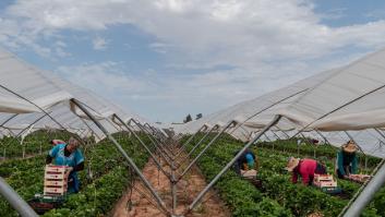 Andrés Góngora, agricultor de siempre: "No podemos competir con Marruecos, si aquí se paga 90 euros la jornada, allí son 8"