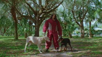 Los fans de Rosalía se fijan en la escena de los perros del videoclip de 'La perla' y sacan sus propias conclusiones