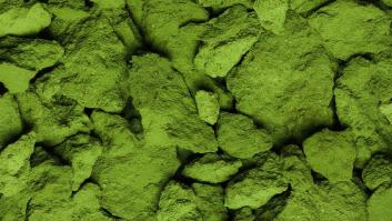 Las microalgas son algo muy distinto de las algas pues son organismos microscópicos unicelulares surgidos hace 3.000 millones de años se encuentran presentes en el origen de cualquier tipo de vida vegetal.