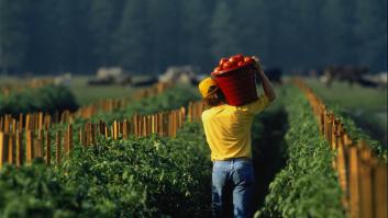 Un agricultor, en una imagen de archivo.
