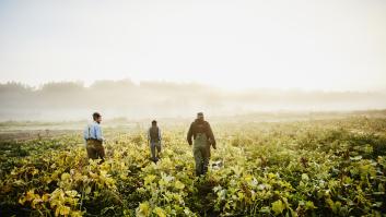 Varias personas trabajando en el campo