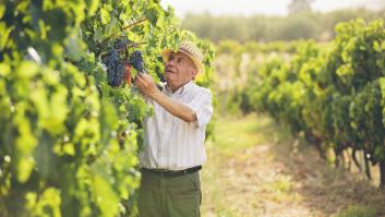 Un jubilado de 67 años se arriesga a trabajar un día para sacarse 80 euros y le cae una multa de 24.000 euros: "Injusto"