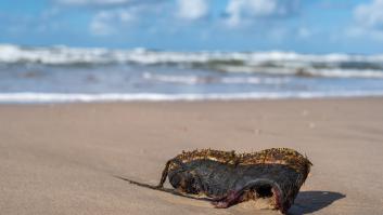 Cientos de zapatos del siglo XIX aparecen en una playa inglesa sin explicación: "No tenemos ni idea de cuánto tiempo llevan ahí"