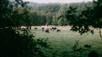 Dale y Janet, agricultores, ceden su rancho de 18 millones de euros en lugar de venderlo: "Lo mantendrán activo, como debe ser"