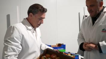 José Manuel Gallego, dueño de una de las mayores distribuidoras de frutas: "En Marruecos pagan en 30 días, pero aquí en España nos tienen ahogados a 180"