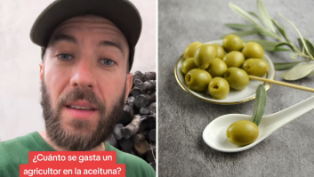 Un agricultor deja claro lo que se gasta en la aceituna: "Al día, por persona, unos 100 euros, sin contar gastos de gasolina, de tractores"