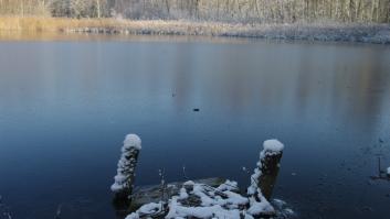 Elsa, fotógrafa, nada en gélidas aguas para una competición: "Me ha curado, me da fuerza y revela mi coraje"