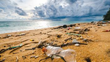 Primero cebollas, luego leche y ahora miles de patatas: un misterioso cargamento está invadiendo una playa inglesa