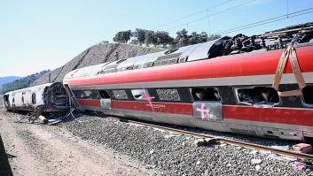 Localizan a Boro, el perro desaparecido en el accidente de Adamuz, pero ha escapado