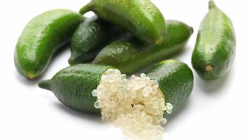 Ni naranjas ni limones: la finca española que cultiva "limas caviar" y manos de Buda para la alta cocina inglesa