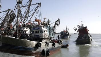 Paola, 45 años, hace 20 que se dedica al sector de la pesca artesanal: "Trabajo en un ambiente hostil, hay mucho machismo"