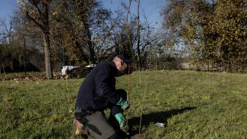 Alberto, agricultor que dejó Madrid por el campo: "Planté 110 almendros, murieron todos, era la naturaleza dándome mi primera lección"