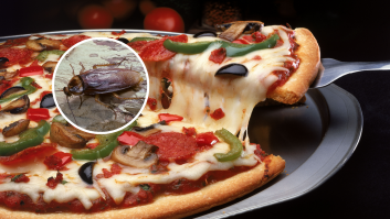 Iba a dar el último bocado a su pizza y se encontró con el horror: "Pensé que era un champiñón, pero era una cucaracha"