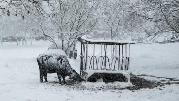 El paso de la borrasca Ingrid, en imágenes