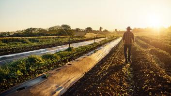 Estudiantes crean una granja orgánica para transformar la agricultura y sentencian: "No me arrepiento de haberme alejado de la ingeniería"