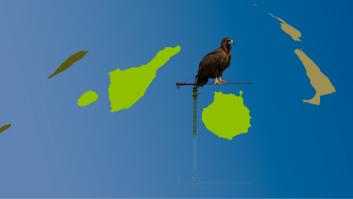 Un debate europeo sobre el acceso a la vivienda en Canarias: prioridad imperiosa, que exige normas y recursos