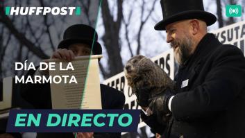 Vídeo en directo: la marmota Phil predice cuánto durará el invierno