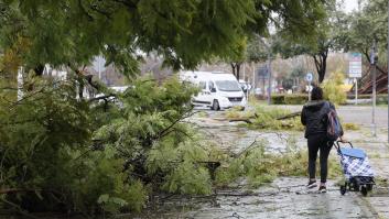 Efecto de las fuertes rachas de viento en Sevilla por la borrasca que irrumpió este lunes en Andalucía.