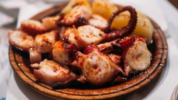 Un eurodiputado español se encuentra con este presunto pulpo y termina escribiendo una carta al Parlamento que es pura retranca gallega