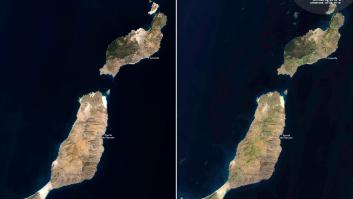 ESPACIO, 30/01/2026.-Imágenes de Sentinel-2 de Copernicus que muestran el antes y el después de la vista satélite de Lanzrote y Fuerteventura. Desde mediados de diciembre de 2025, las precipitaciones en Lanzarote y Fuerteventura han superado con creces los récords históricos y como resultado, las islas ya no muestran los característicos tonos ocres y dorados de sus paisajes volcánicos y arenosos. En su lugar, las colinas, valles y volcanes están cubiertos por una extensa vegetación. EFE/ Unión Europea SOLO USO EDITORIAL/SOLO DISPONIBLE PARA ILUSTRAR LA NOTICIA QUE ACOMPAÑA (CRÉDITO OBLIGATORIO)