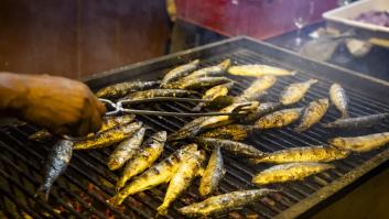 Un experto médico de Harvard come 1.000 sardinas en un mes: "Ya no siento frío"