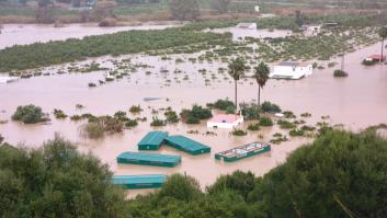 Imagen de cultivos completamente inundados por las fuertes lluvias (Cádiz)