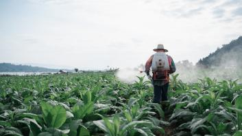 Hombre rociando pesticida.