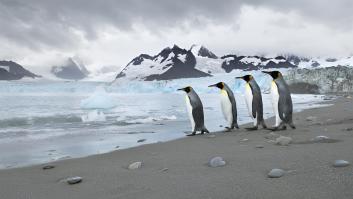 Henrik, viajero empedernido, ha visitado más de 400 islas del mundo y sentencia que esta es la mejor: "Uno de los últimos lugares verdaderamente salvajes de la Tierra"