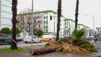 Alerta por la borrasca 'Nils': rachas de 100 km/h y avisos rojos en la costa desde hoy