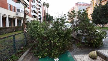 La AEMET activa el aviso rojo en Castellón por rachas de viento de hasta 140 km/h este sábado