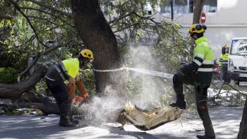 Primera muerte por temporal en Cataluña: una mujer a la que cayó encima el techo de una nave por el viento
