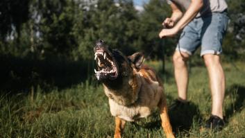 indemnizacion-amputado-dedo-ataque-perro