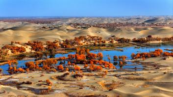 Vista del desierto de Taklamakán, con los árboles plantados en el entorno