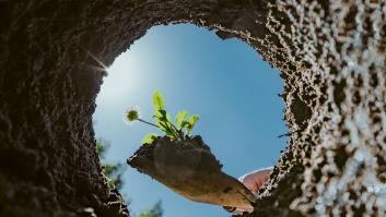 Roban 2.500 plantas a un agricultor por valor de 2.000 euros: "No estaban destinadas a la venta, sino a nuestro propio inventario"