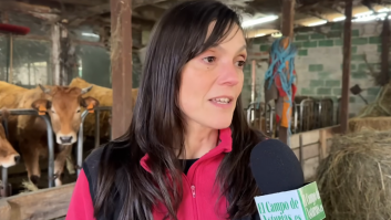 Yoli, la ganadera asturiana que dejó la hostelería para cuidar de 60 vacas: "Me di cuenta de que no estaba en casa"