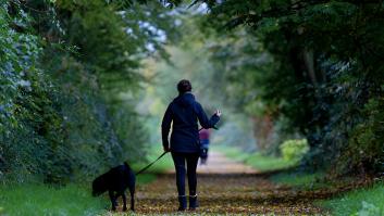 Un perro señala a su dueño una caja rosa y acaba salvando cuatro vidas: "Al principio, no le presté mucha atención"