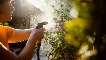 Los jardineros coinciden: este simple gesto en casa tiene un impacto mayor del que se puede pensar