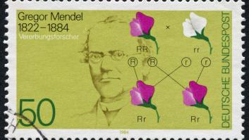 Gregor Mendel, científico: "El valor y la utilidad de cualquier experimento se determinan por la aptitud del material para el propósito para el que se utiliza"