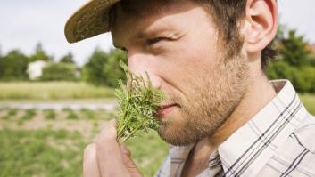 Un hombre oliendo romero