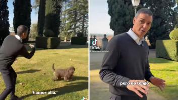 Sánchez sube un video con sus perras y muchos no pueden evitar fijarse en el nombre de una de ellas