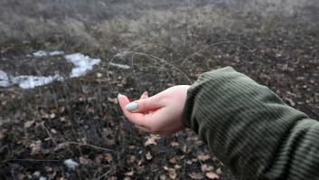 Un cable de fibra óptica en Ucrania en una imagen de archivo