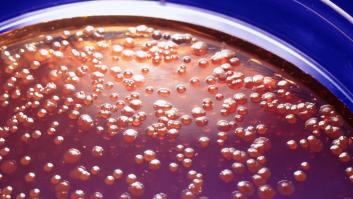 Mario Sánchez, tecnólogo de alimentos: "Pasarse una semana de la fecha del huevo aumenta el riesgo de salmonela un 30% aunque ponga consumo preferente y no caducidad"